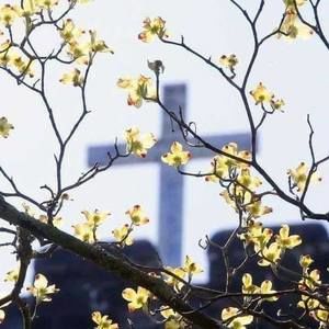 Meet your Posher, Sondra